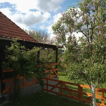 Brvnara Ljubicica 펜션 Kremna