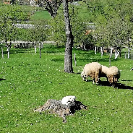 Brvnara Ljubicica Ferienhaus Kremna