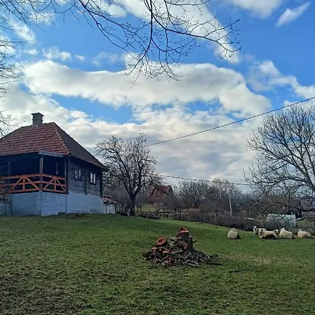 Brvnara Ljubicica Holiday home *