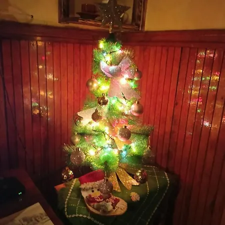 Ferienhaus Brvnara Ljubicica